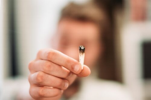 cbd produkter