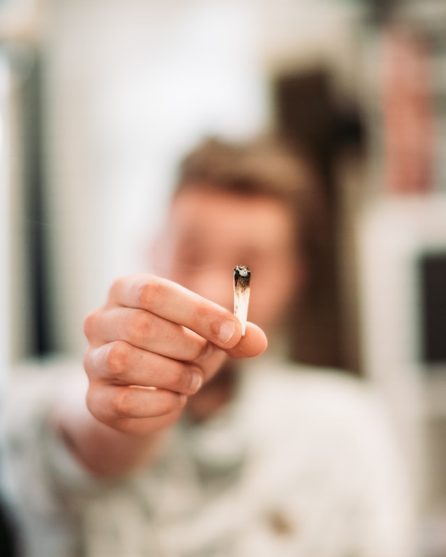 cbd produkter