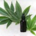 CBD olie 10 %
