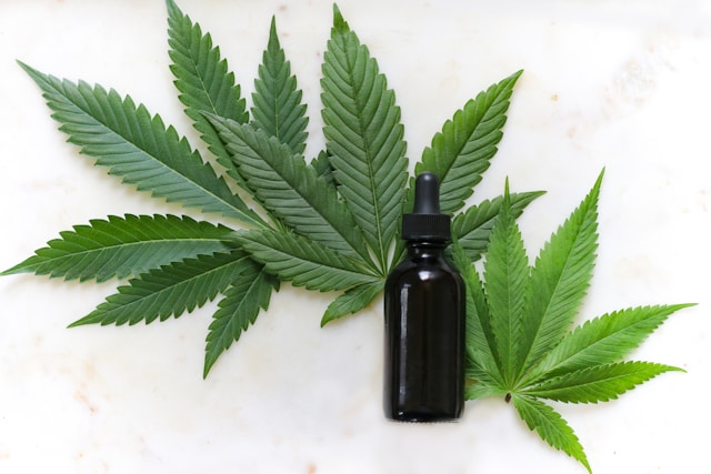 CBD olie 10 %